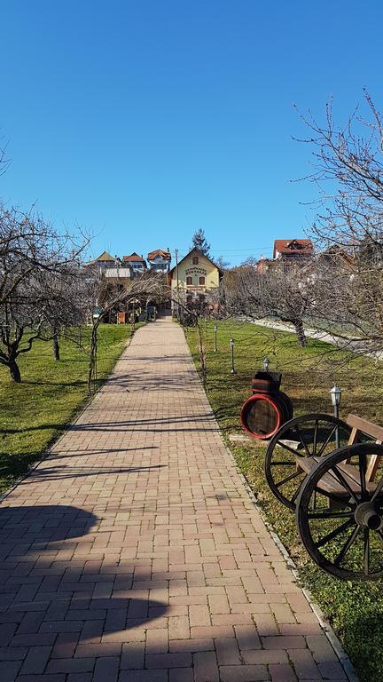 Villa Nora Hévíz Exteriér fotografie