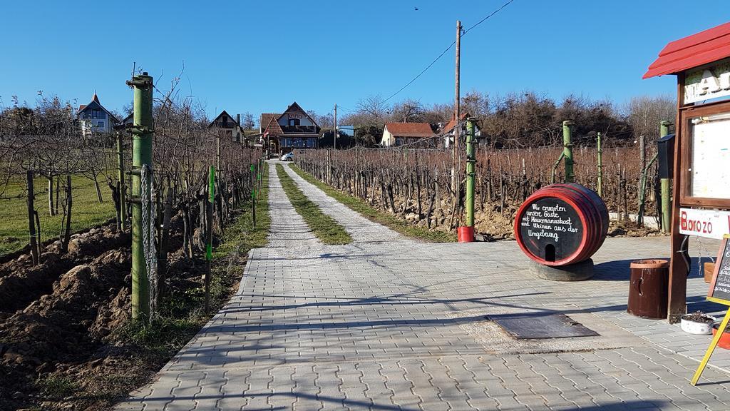 Villa Nora Hévíz Exteriér fotografie